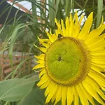 Сasa de vacaciones Siedlisko Lubie
