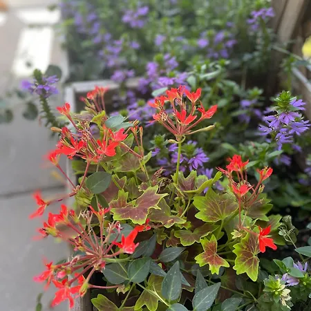 Siedlisko Lubie 펜션