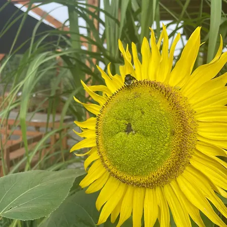 펜션 Siedlisko Lubie