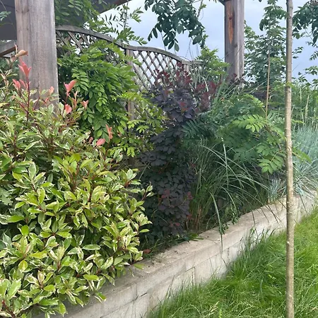 Siedlisko Lubie Złocieniec